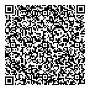 ihr_qr_code_ohne_logo